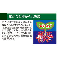 カダン除草王シャワーS　２L