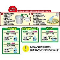 住友化学園芸 草退治メガロングFL 250ml 2056937 1本（直送品）