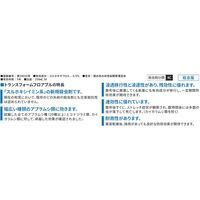 ダウ・アグロサイエンス日本 ダウケミカル トランスフォームフロアブル 250ml 2057039 1個（直送品）