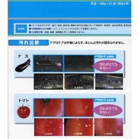 ニッソーグリーン アグロケア水和 100g 2057128 1袋（直送品）