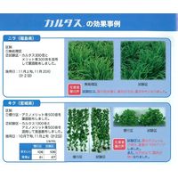 生科研 カルタス 1kg 2057142 1個（直送品）