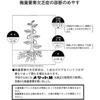 生科研 メリットM 20kg 2057147 1箱（直送品）