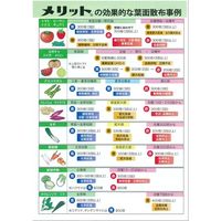 生科研 新チャンス液 20kg 2057161 1箱（直送品）