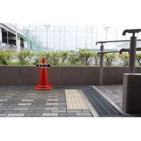 ミツギロン コーンアロー (シール無し) SF-53-F 1個（直送品）