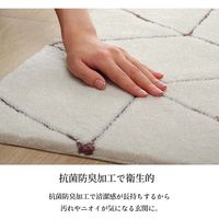 イケヒコ グラース 玄関マット 550×850mm アイボリー 1310970145001 1枚（直送品）