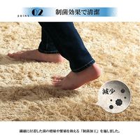 イケヒコ ルフォン ラグ 2000×2500mm オレンジ 1280300201303 1枚（直送品）