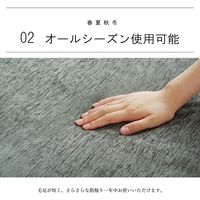 イケヒコ カーペットカバー ふっくら敷カバー 撥水モデルノ 1930×1930mm ベージュ 1161730026707 1枚（直送品）