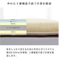 イケヒコ 敷き布団 滅ダニ セミダブルロング 1200×2100mm - 1202890025102 1枚（直送品）