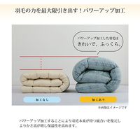 イケヒコ 羽毛掛布団 ベリーズ シングルロング 1500×2100mm ピンク 1201851223502 1枚（直送品）