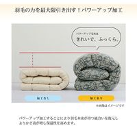 イケヒコ 羽毛掛布団 ローゼ ダブルロング 1900×2100mm ピンク 1202471222402 1枚（直送品）