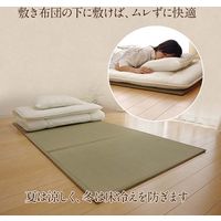 イケヒコ い草マットレスＰＲＯ 1000×2100mm 1360140011201 1枚（直送品）