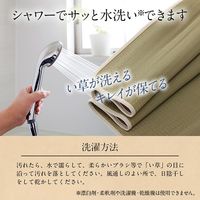 イケヒコ さらっと敷パッド 880×1800mm 1360090010101 1枚（直送品）