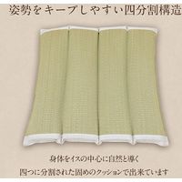 イケヒコ 背中さらっとクッション 500×500mm 1360040010101 1個（直送品）