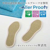 イケヒコ・コーポレーション 足さらっとインソールPro 26cm 1360100010601 1枚（直送品）