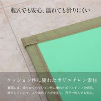 イケヒコ 浴室畳マット 600×800mm 1360170010103 1枚（直送品）