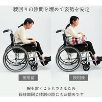 イケヒコ 五体さらっとクッション 480×800mm 1360080010102 1個（直送品）