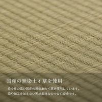 イケヒコ 貼る畳 670×670mm 1111271010601 1枚（直送品）