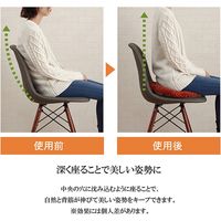 イケヒコ ノート 穴あき 座布団 400×400mm オレンジ 1221750200491 1個（直送品）