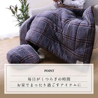 イケヒコ・コーポレーション カリス ひざ掛け BR 70×100cm 1220910061401 1枚（直送品）