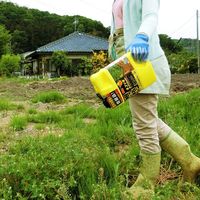 レインボー薬品 ネコソギガーデンシャワー 2L 4903471100346 1個（直送品）