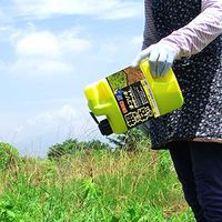 レインボー薬品 ネコソギシャワー 2L 4903471101121 1個（直送品）