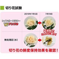 レインボー薬品 レインボーフラワーWアンプル 30ml×10P 4903471101770 1個（直送品）