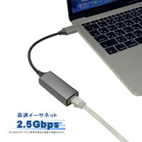 有線LAN アダプタ USB-A マルチギガビット 2.5G LANアダプタ VV-UARJG-DO Vodaview
