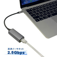 有線LAN アダプタ Type-C マルチギガビット 2.5G LANアダプタ VV-UCRJG-DO Vodaview