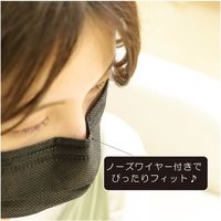 2箱 100枚 4層 不織布 黒 マスク 個包装 約10X17 箱あり 感染対策 使い捨て ファッション 幅広ゴム ブラック 衛生的（直送品）