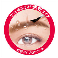 ブロウラッシュEXブロウコーティングR 5mL スタイリングライフ・ホールディングス 速乾 ウォータープルーフ BCL カンパニー