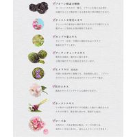 ROZEBE（ロゼべ） プラセンタエンリッチエッセンス ＜医薬部外品＞ 美白美容液 30mL WHD