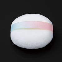 サナ 舞妓はん（マイコハン）おしろい N02 肌色（シアーベージュ）10g　常盤薬品工業