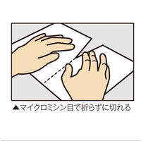 小林クリエイト 領収証用紙 A4ミシン目入り 白色 無地 1箱（500枚入）（わけあり品）