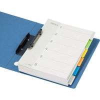 アスクル　カラーインデックス　A4タテ　インデックスシート　2穴　6山　10組  オリジナル（わけあり品）