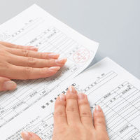 アスクル領収証用紙 A4ミシン目入 白色 無地 1箱（500枚入）  オリジナル（わけあり品）