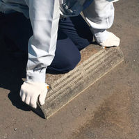 セメダイン ピタブロック 1kg AE-228 1本