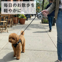 ベストアンサー pet-102-bk 伸縮リード 3m ストラップ付き 小型犬向け ブラック 1セット（直送品）