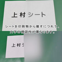 上村産業 防炎制電ビニールシート 梨地クリア 0.3mm厚×1370mm幅 pvc-na-030-1370-70 1枚（直送品）