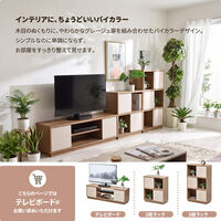 【軒先渡し】B.Bファニシング Noxia スライドドア テレビボード 幅1200×奥行300×高さ390mm ライトブラウン 1台（直送品）