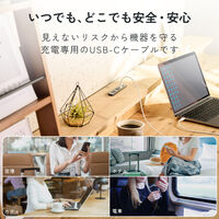 USB-C to C 充電専用ケーブル PD 最大240W シリコン 2m 白 EC-CCFCPSS20WH エレコム 1個（直送品）