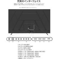 ジャパンネクスト 75インチ 4K液晶ディスプレイ 3840x2160 VA HDMIx3 2年保証 JN-V750U2-M（直送品）