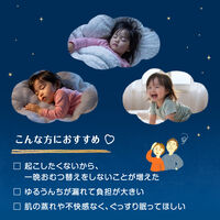 パンパース おむつ パンツ ビッグ+サイズ（12～28kg）1パック（22枚入）肌へのいちばん夜用 P&G