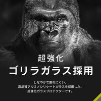 トリニティ Google Pixel 10a ゴリラガラス 反射防止 フレームガラス TR-PX2610A-G3-GOAGBK 1個（直送品）