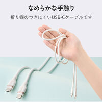 タイプCケーブル USB-C to C 2本セット 1ｍ 100W 高速充電 白 MPA-CCECSS10WW エレコム 1個（直送品）