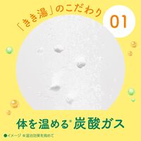 きき湯 クレイ重曹炭酸湯 スプーンなし2回分増量 420g お湯の色 乳白色の湯（にごりタイプ） 1セット（1個×3） アース製薬