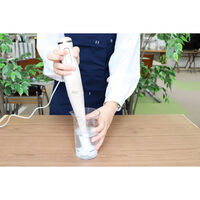ドリテック ハンドブレンダー 557331 1個（直送品）