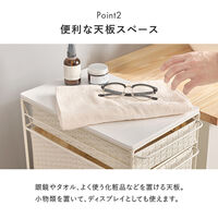 【軒先渡し】萩原 ランドリーチェスト 幅250mm×奥行400mm×高さ850mm ナチュラル 1台（直送品）