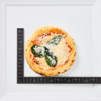 鹿島興産 業務用 マルゲリータNO.15 281307 1ケース 5枚×18PC（直送品）
