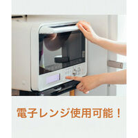トーシン 使い捨て ペーパーボウル エコ バガス 業務用 ボウル 13cm 10枚 4975457471412 1個（直送品）