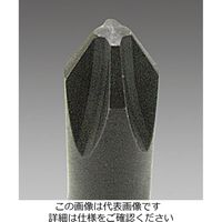 エスコ 3/8”DR/3ー12mm[+]#2/10個組 [HEX]ビットソケット EA618PW 1セット（直送品）